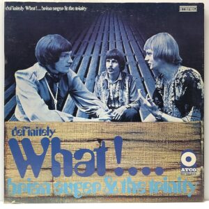 Definitely What (USED LP)
