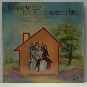 Greatest Hits (USED LP)
