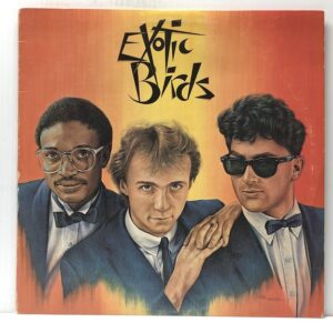 Exotic Birds (USED LP)