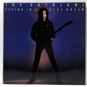 Flying in a Blue Dream (USED LP)