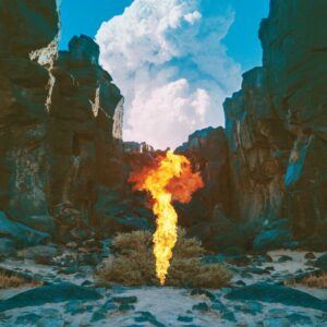 MIGRATION (NEW LP)