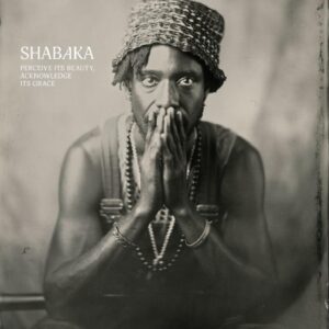 Perceive Its Beauty, Acknowledge Its Grace (NEW LP