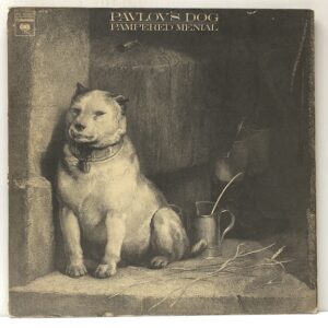 Pampered Menial (USED LP)