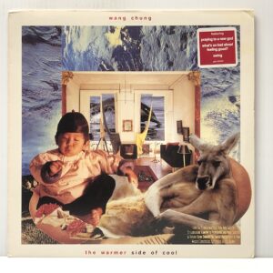 Warmer Side of Cool (USED LP)