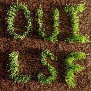 Oui Lsf (CD)