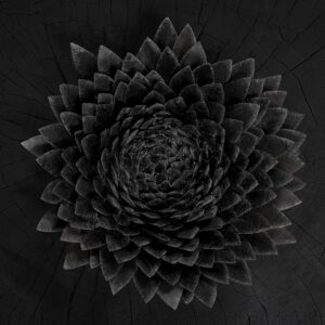 Obsidan (New LP)