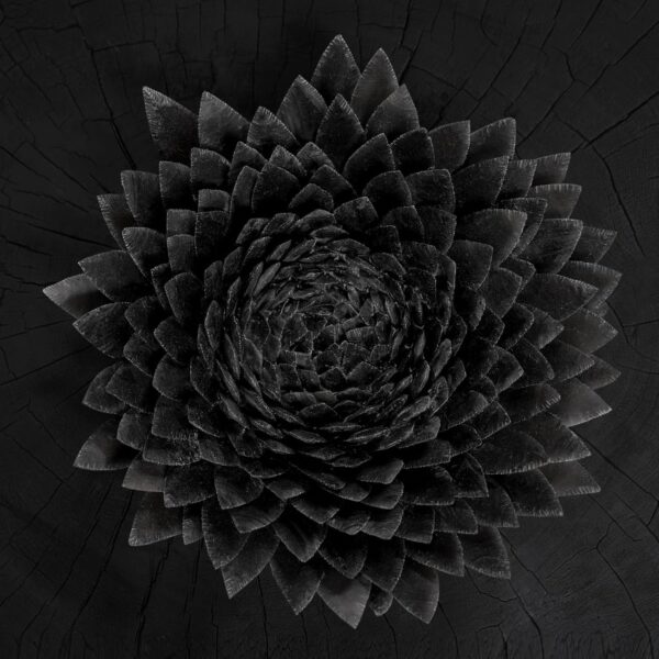 Obsidan (New LP)