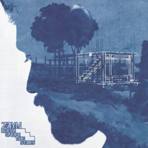 Room Under The Stairs (CD)