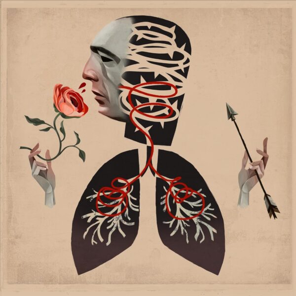 Vows (New LP)