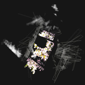 Capture & Release (New LP)