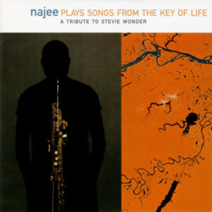 PLAYS SONGS FROM THE KEY OF LIFE