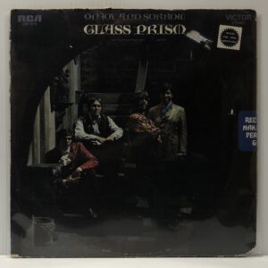 On Joy and Sorrow (USED LP)
