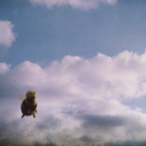 Stung! (New LP)