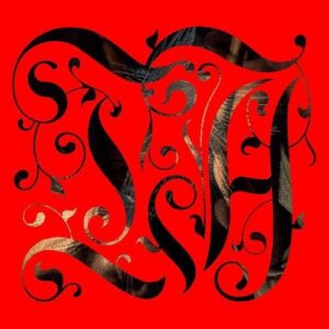 The Adept (New LP)