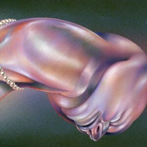 The Warping (New LP)