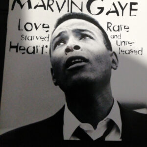 LOVE STARVED HEART RARE (CD)