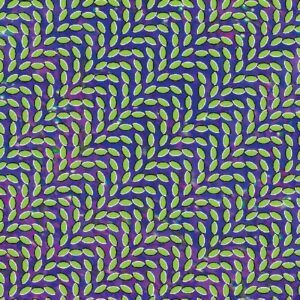 Merriweather Post Pavilion (15th Anniversary)