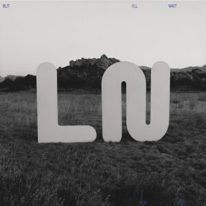 But I'll Wait For You (CD)