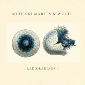 RADIOLARIANS I