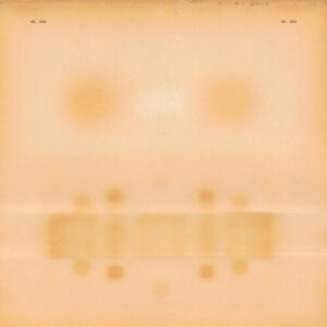 Dr. Dog (New LP)