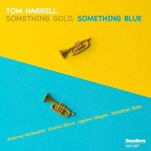 SOMETHING GOLD SOMETHING BLUE (CD)