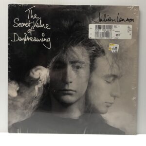 Secret Value Of Day Dreaming (USED LP)
