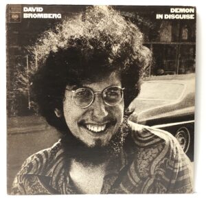 Demon In Disguise (USED LP)