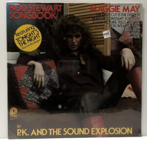 Rod Stewart Songbook (USED LP)