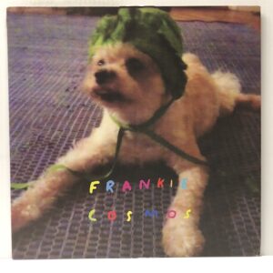 Zentropy (USED LP)