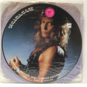 Interview Picture Disc (USED LP)
