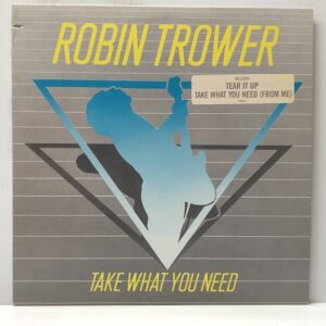 Take What You Need (USED LP)