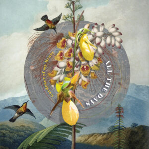 Gardener of My Heart (New LP)