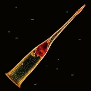 Melodies Of Atonement (New LP)