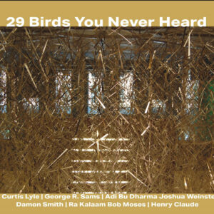 29 Birds You Never Heard (CD)