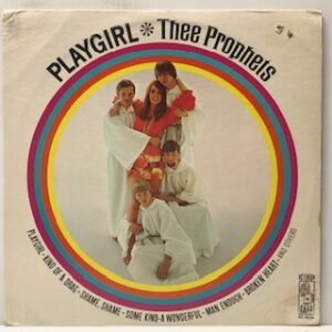 Playgirl (USED LP)