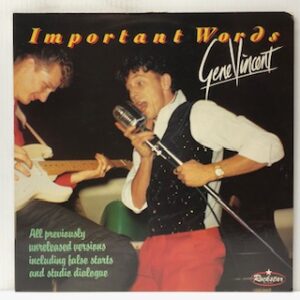 Important Words (USED LP)