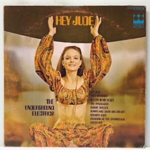 Hey Jude (USED LP)