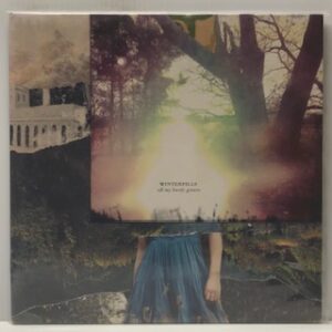 All My Lovely Goners (USED LP)