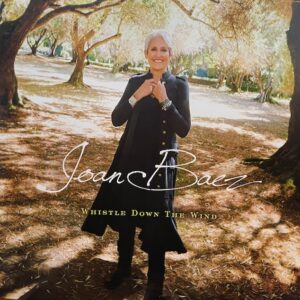 Whistle Down the Wind (USED LP)