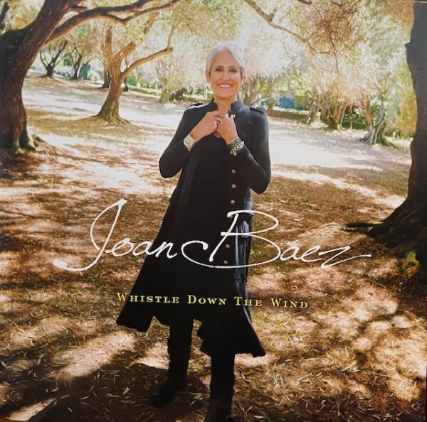 Whistle Down the Wind (USED LP)