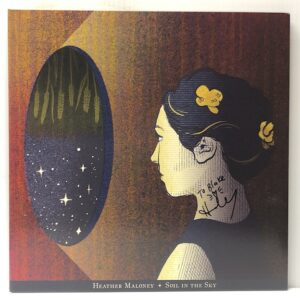 Soil in the Sky (USED LP)