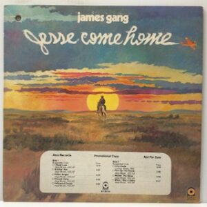 Jesse Come Home (USED LP)