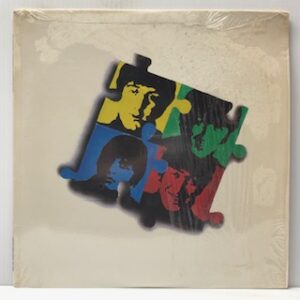 Wonderful Picture of You (USED LP)