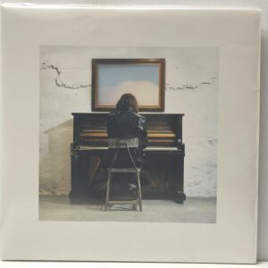 Into the Wide (USED LP)