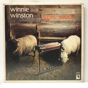 Steel Wool (USED LP)