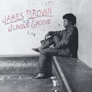 In The Jungle Groove (New LP)