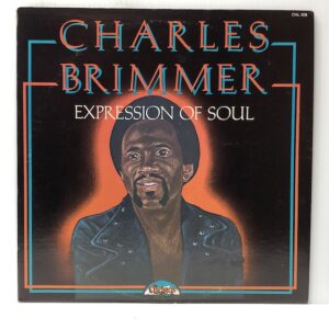 Expression of Soul (USED LP)