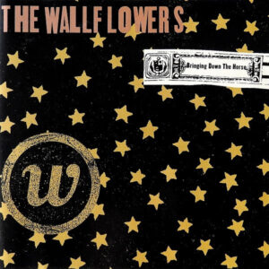 Bringing Down The Horse (CD)