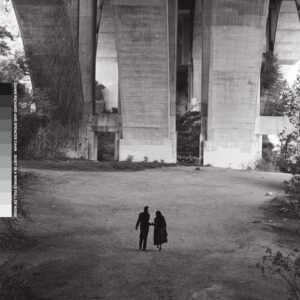Quiet in a World Full of Noise (New LP)