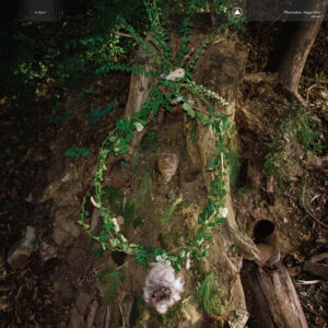 Maggot Mass (New LP)
